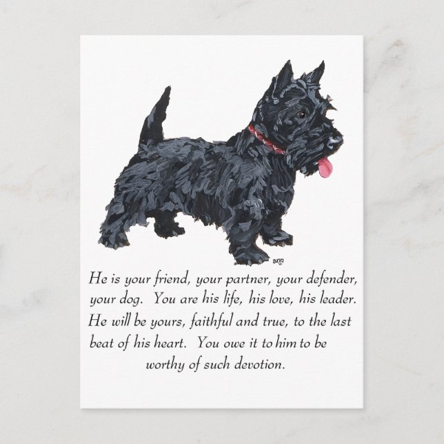 Carte Postale Scottish Terrier Keepsaké - chien mâle (Devant)