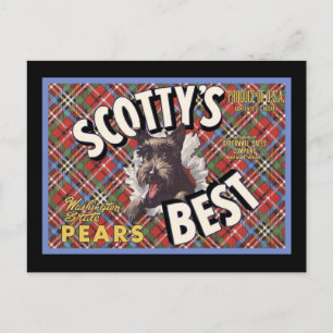 Carte Postale Scottish Terrier Scottys Best Dog