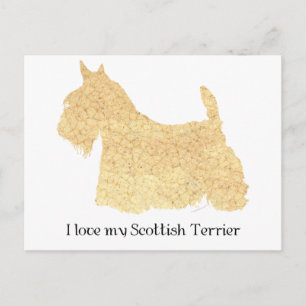 Carte Postale Scottish Terrier Wheaten Silhouette
