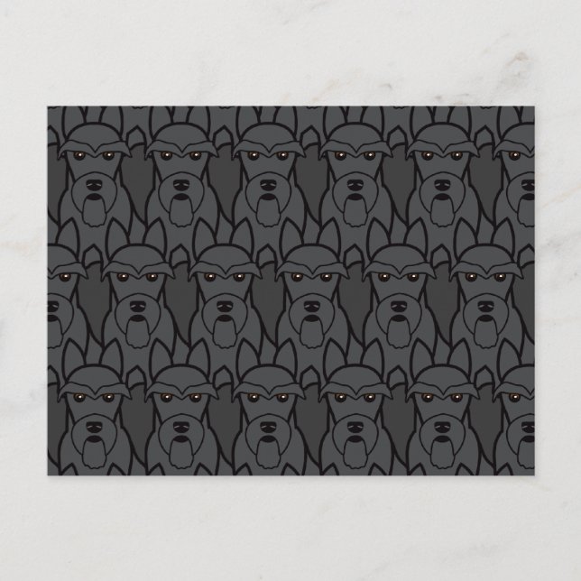 Carte Postale Scottish Terriers (Devant)