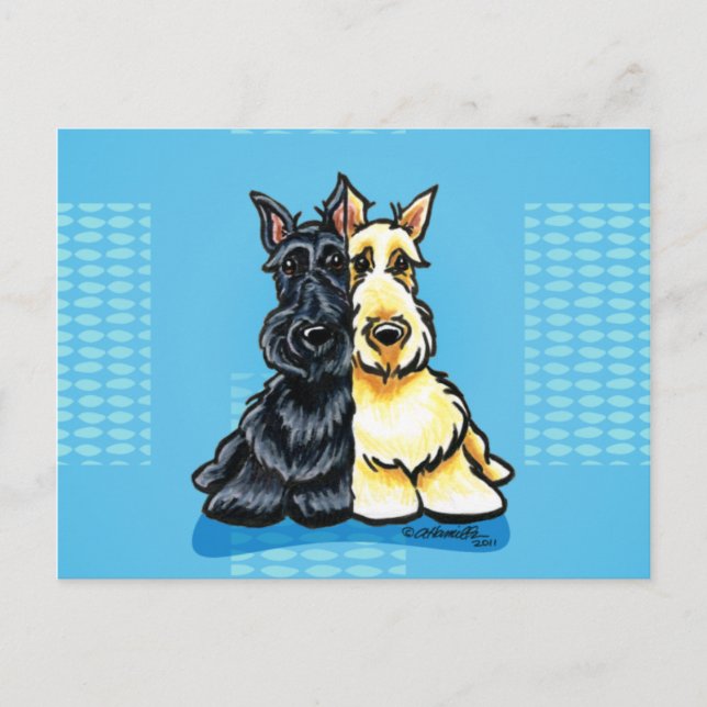 Carte Postale Scottish Terriers Deux d'un genre (Devant)