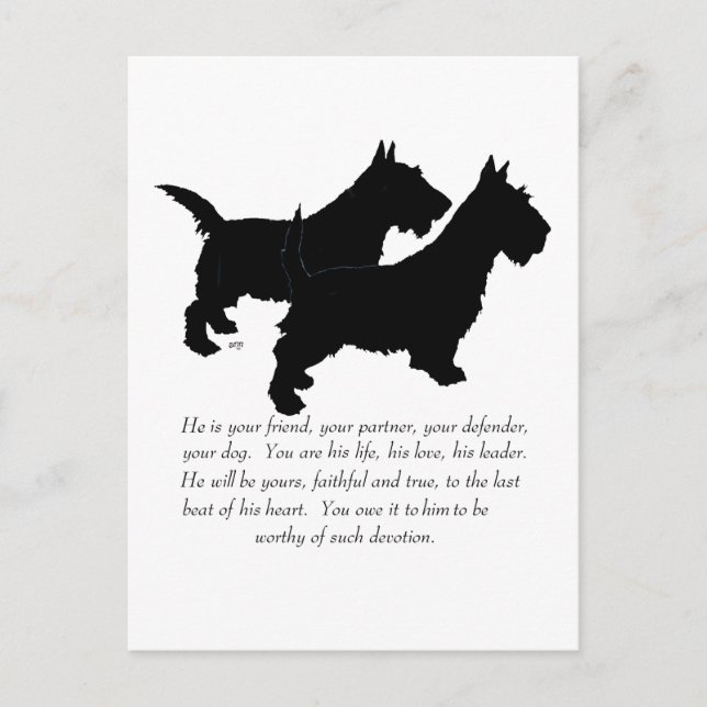 Carte Postale Scottish Terriers Keepsaké - Chiens MALE (Devant)