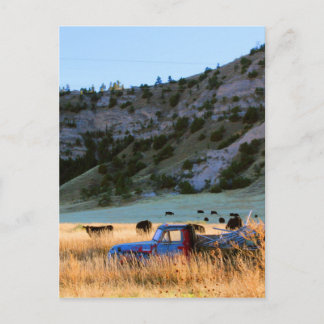 Carte Postale Scottsbluff Nebraska Ferme de récolte Coucher du s