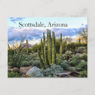 Carte Postale Scottsdale Succulent Sunset