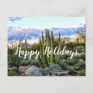 Carte Postale Scottsdale Succulent Sunset, Scottsdale, Arizona