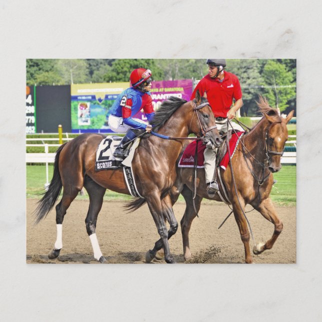 Carte Postale Scotus par Appel-Divin Réussi (Devant)