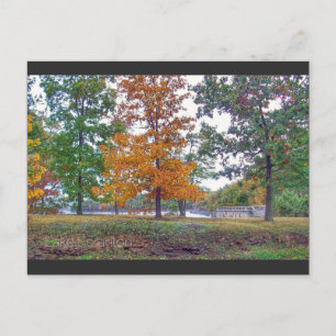 Carte postale Scranton Lake PA-Automne