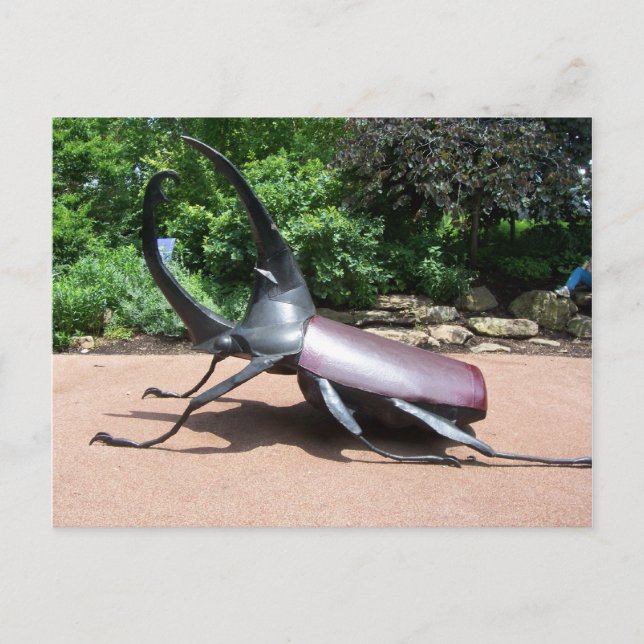 Carte Postale Sculpture d'Hercules Beetle (Devant)