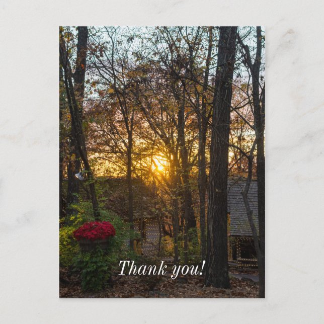 Carte Postale Sdc Woods Sunset (Devant)