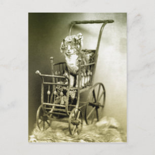 Carte Postale se promener avec kitty