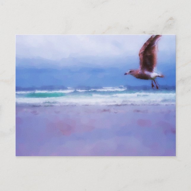 Carte postale Sea Gypsy (Devant)