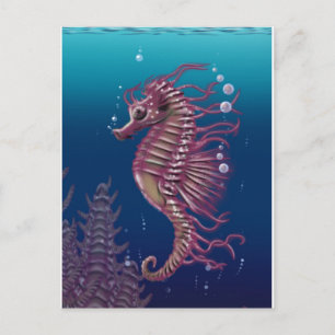 Carte postale Sea Horse