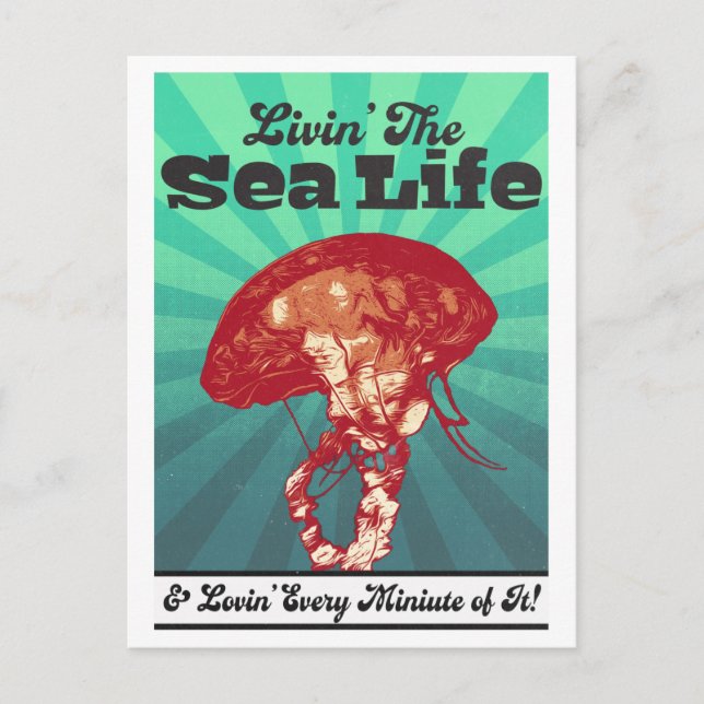 Carte postale Sea Life Jellyfish (Devant)