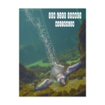 Sea Life Sydney Aquarium en Australie