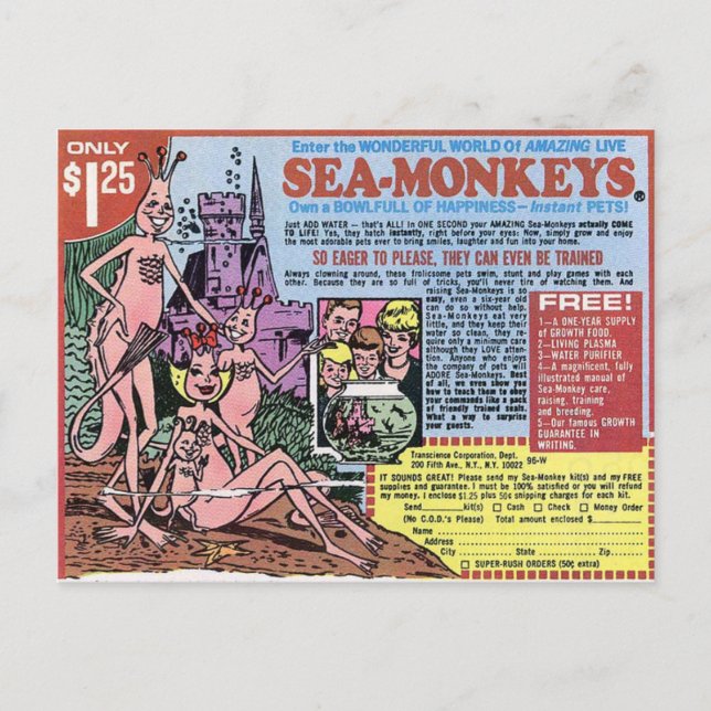 Carte postale Sea Monkeys (Devant)