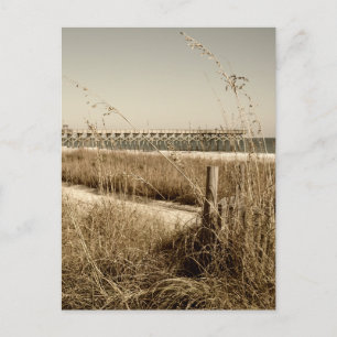 Carte Postale Sea Oats on the Dunes at Myrtle Beach