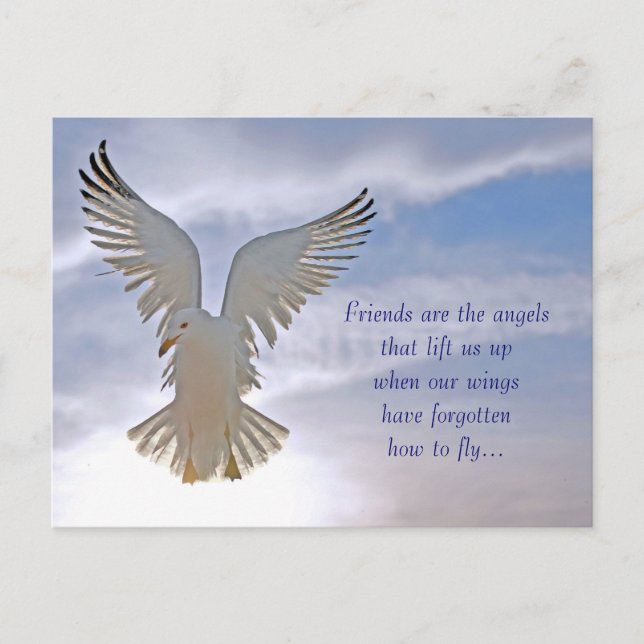 Carte postale Seagull (Devant)