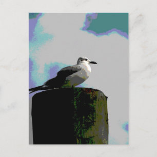 Carte Postale Seagull assis sur un quai photographié
