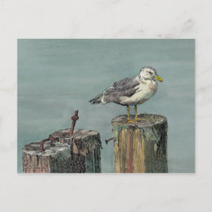 Carte Postale SEAGULL sur PILLER par SHARON SHARPE