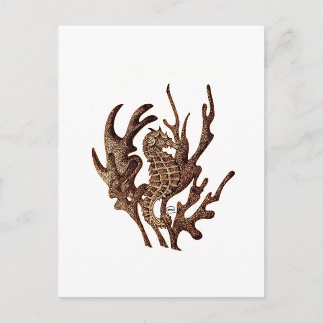 Carte Postale Seahorse (Devant)