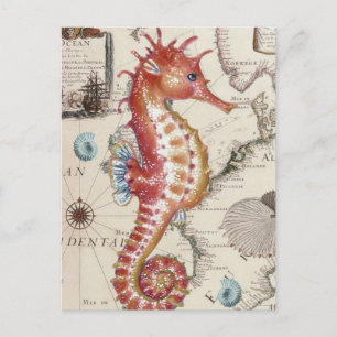 Carte Postale Seahorse Shabby