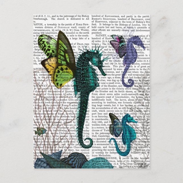 Carte Postale Seahorse Trio Avec Ailes (Devant)