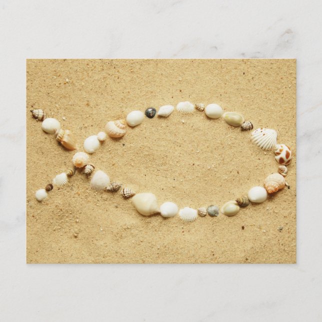 Carte Postale Seashell Ichthys (Devant)