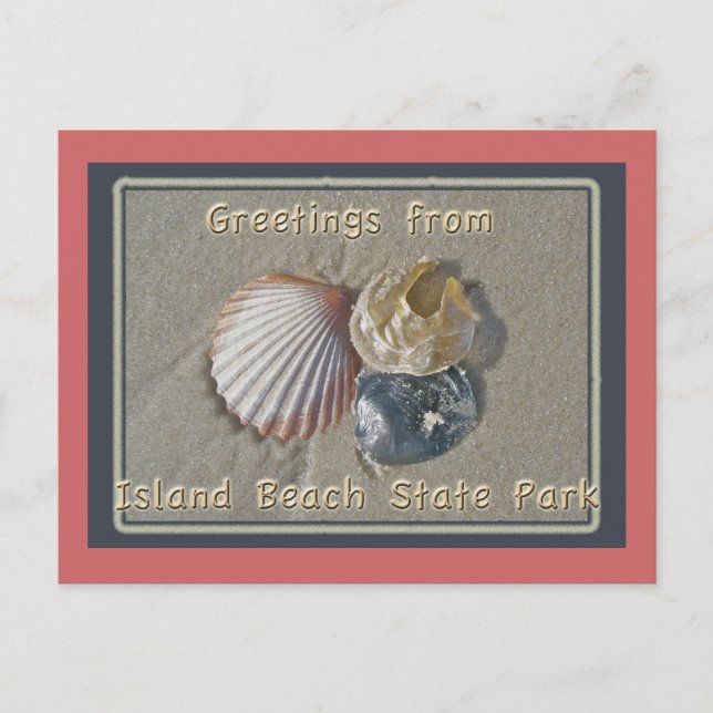 Carte Postale Seashings Salutations De IBSP Seaside Park NJ (Devant)