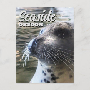 Carte Postale Seaside, Oregon Bébé Phoque Lion de mer