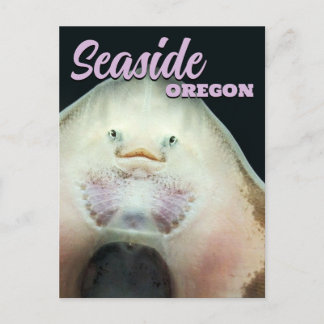 Carte Postale Seaside, Oregon Skate Animal