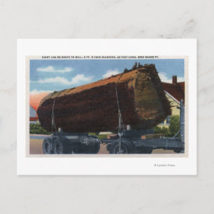 Carte Postale Seattle, Washington Giant Log en route vers Mill