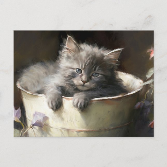Carte Postale Seau Plein De Joie Sweet Grey Kitten (Devant)