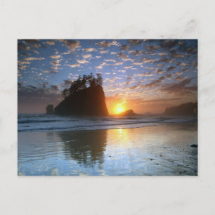 Carte Postale Second Beach, La Push, coucher de soleil,