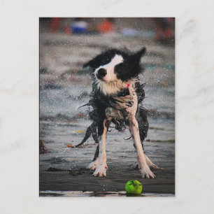 Carte Postale Secoue-le !