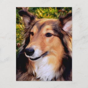 Carte Postale Secourir le chien