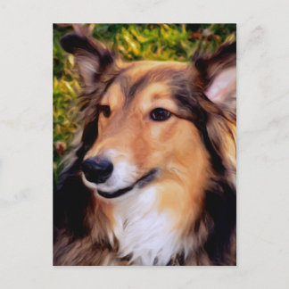 Carte Postale Secourir le chien