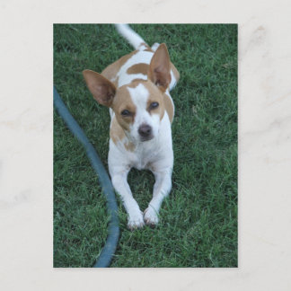 Carte Postale Secouru