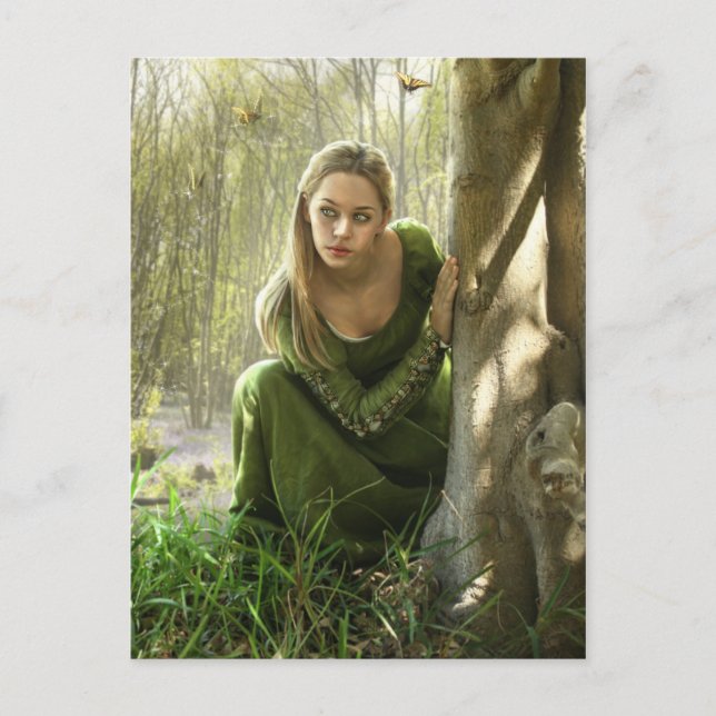 Carte postale Secret Forest (Devant)