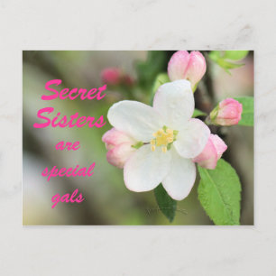 Carte Postale Secret Soeur Apple Blossom - personn
