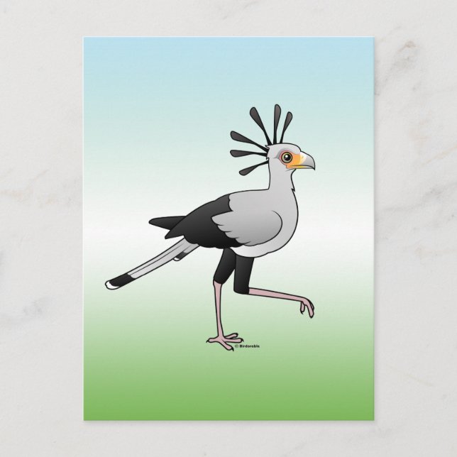Carte Postale Secrétaire Bird (Devant)