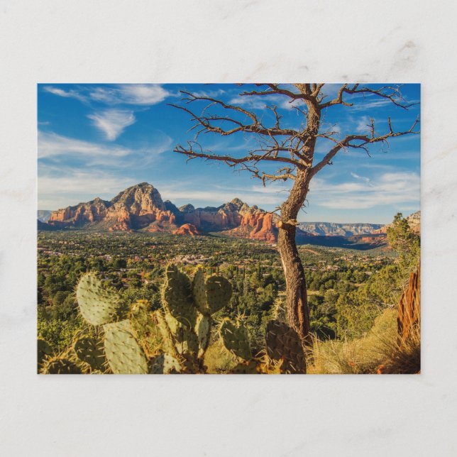 CARTE POSTALE SEDONA  (Devant)