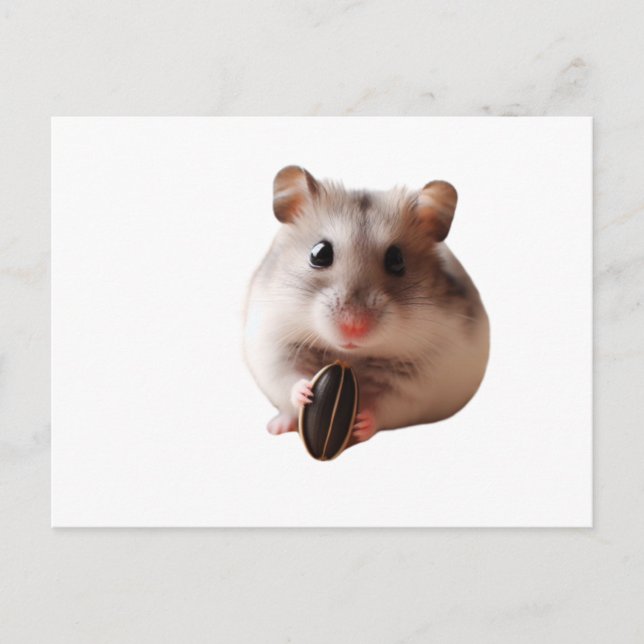 Carte Postale Seeds & Hamsters (Devant)