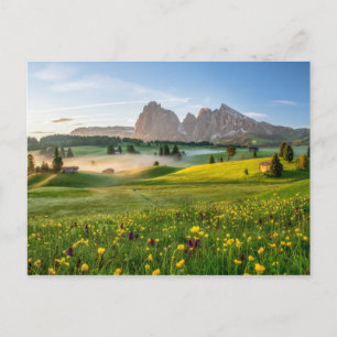 Carte Postale Seiser Alm, Alpes Dolomites, Italie