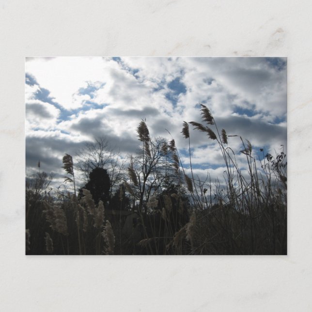 Carte postale Selby-On-The-Bay (Devant)