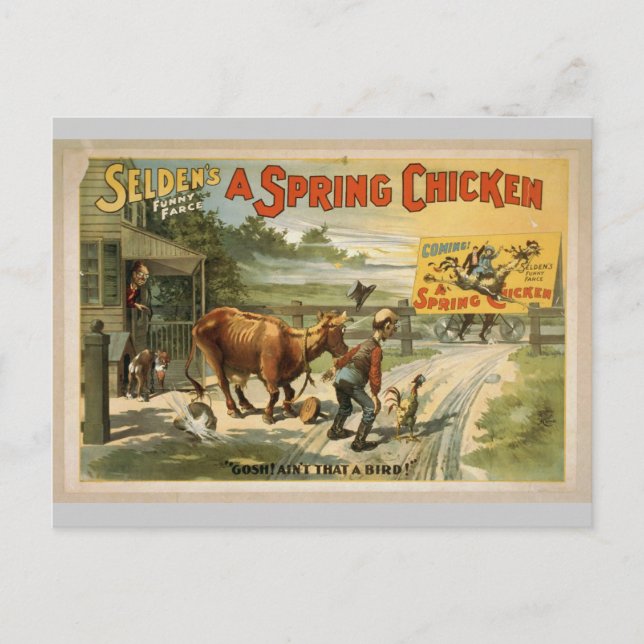 Carte Postale Selden (Devant)