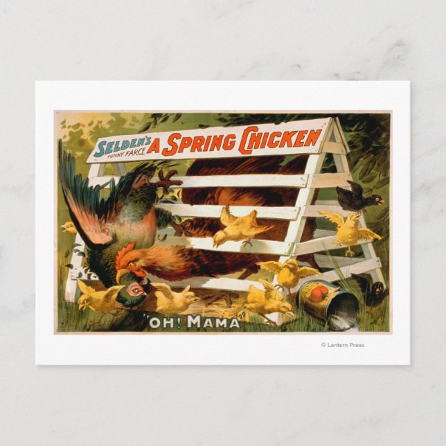 Carte Postale Selden's Funny Farce, A Spring Chicken Play 2 (Devant)