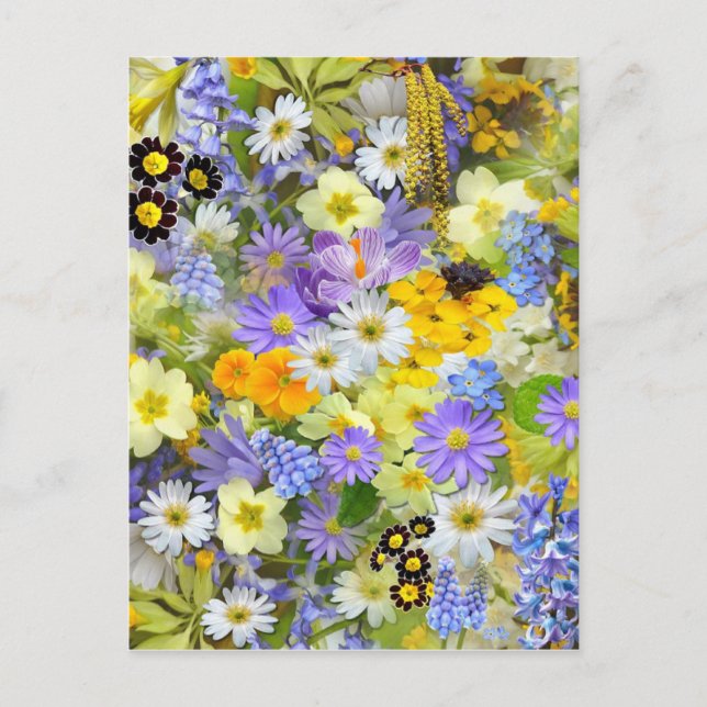 Carte Postale Sélection des fleurs de printemps (Devant)