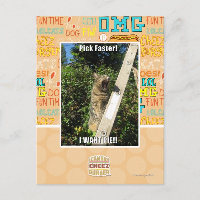 Carte Postale Sélection plus rapidement ! (Devant)