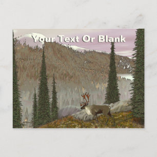 Carte Postale Selkirk Caribou