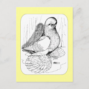 Carte Postale Selle à tambour bouffée 1978